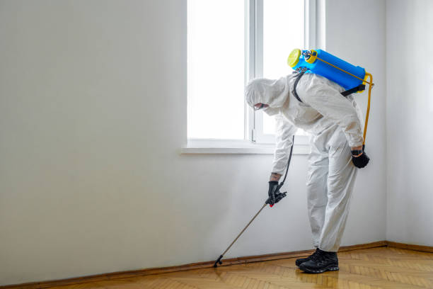 Best Fumigation Services  in Hartsville, SC